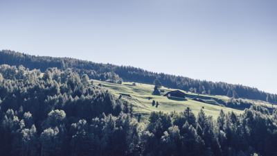 Autunno dorato | 1 giorno gratis